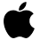 Apple (AAPL)